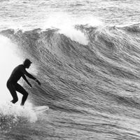 Francisco Zuñiga's Photo