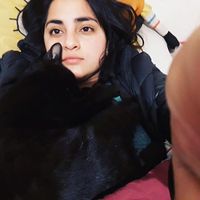 Photos de Coco Santana