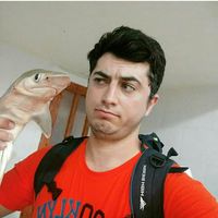 farshad amankhani's Photo