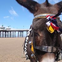 Charlotte Dean's Photo