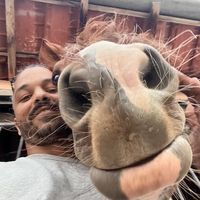 Le foto di Bachir Allaoua