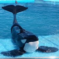 Estefania Flores的照片