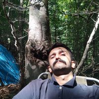 amirhosein lashgari的照片