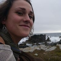 Allison Lipp's Photo