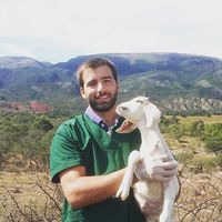 Alejandro Aghemo's Photo