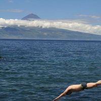 Joao Rodrigues的照片