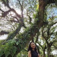 Fotos de Lucia Desintum