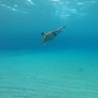 Ahmed Nasser's Photo