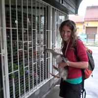 Фотографии пользователя Zsófia Eszter Vásárhelyi