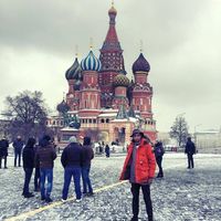 Fotos von MOHAMMAD  MUHANNA