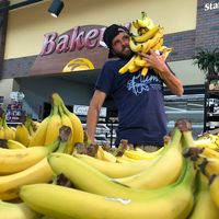 Photos de Jacob Cammack