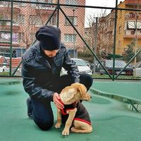 Talha Mustafa Gümüş的照片