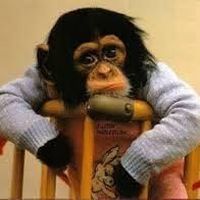 Laxmi Narayana  g's Photo