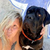 Fotos von Modesty Blaise