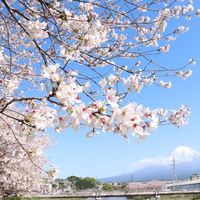 Kengo Yamada的照片