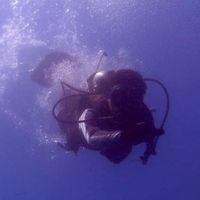 Melvin Adrian的照片