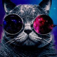 Vakho Mamukashvili的照片