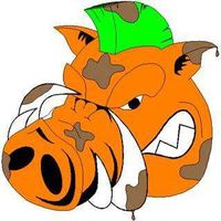 Rob Fournier's Photo