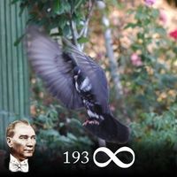 Kemal Yıldız的照片