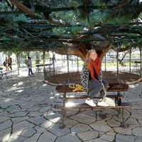 Jacqueline Schnell's Photo