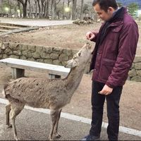 Christopher Hendrickson的照片