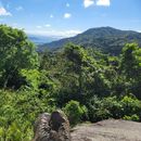 Natural Conection (Yabucoa) (Hiking)'s picture