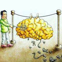 Jelle Verspreet的照片