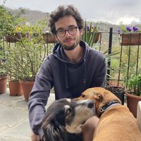 Alexander Mertin's Photo