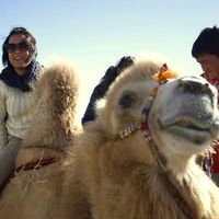 Sarolta Csekei-Tóth's Photo