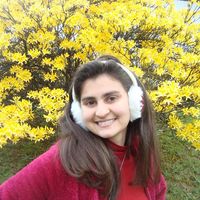 Stella Maris的照片