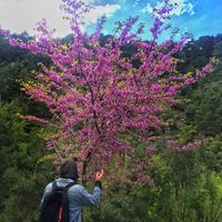 Фотографии пользователя Ömer BULUT