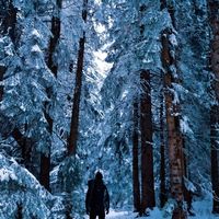 Ivan Milinsky的照片