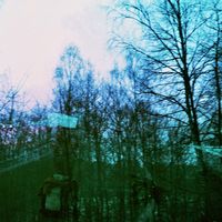 Fotos de Daphne Zoe Fik