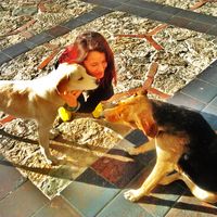 Le foto di Sonia Parra