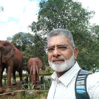 Abdul Ghaffar Panhwar的照片