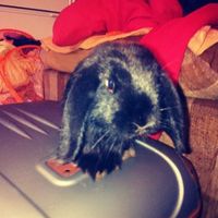 Belkys Amalia's Photo