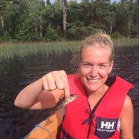 Bille  Rustad的照片