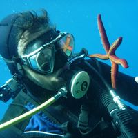 Photos de Antonio Bortone