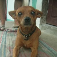 Фотографии пользователя Benn De Kock