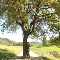 Fotos von Yannis Galan