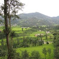 Mathilde Lipsi的照片