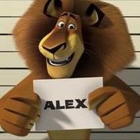 Giorgi Xorxeli's Photo