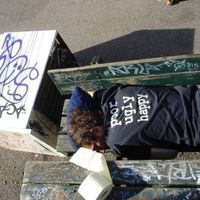 Photos de Michael Haider