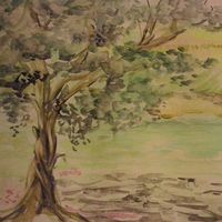 Carolina Salado Toledo的照片