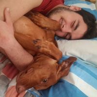 Nahuel Lajmanovich的照片