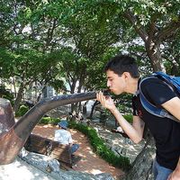 Jeff Bergemann's Photo