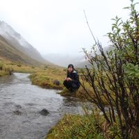 Fotos de Nicola Nemy