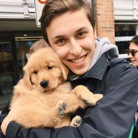 Noah Delouya的照片