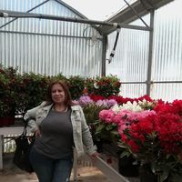 Ilham El Moutahir的照片