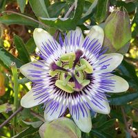 Herbstteam Herbst的照片